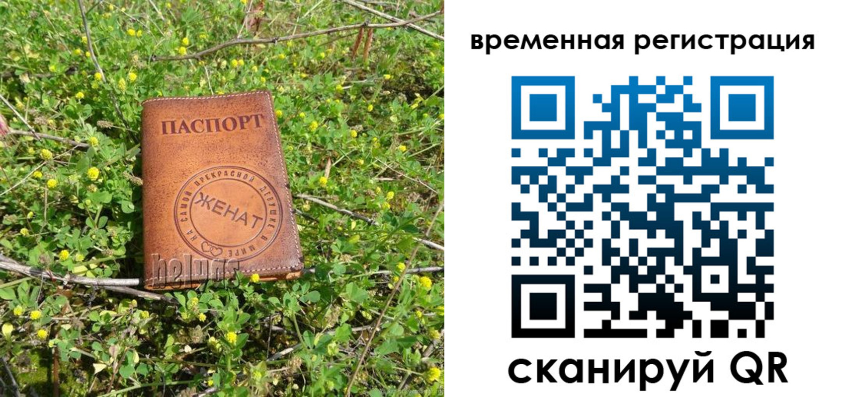 прописка регистрация в Алагире